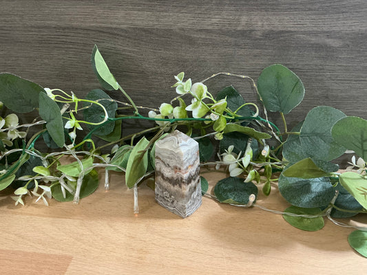 Mexican Agate Tower 174g