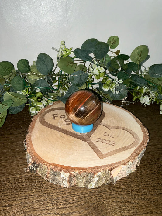 Fossilised Wood 374g