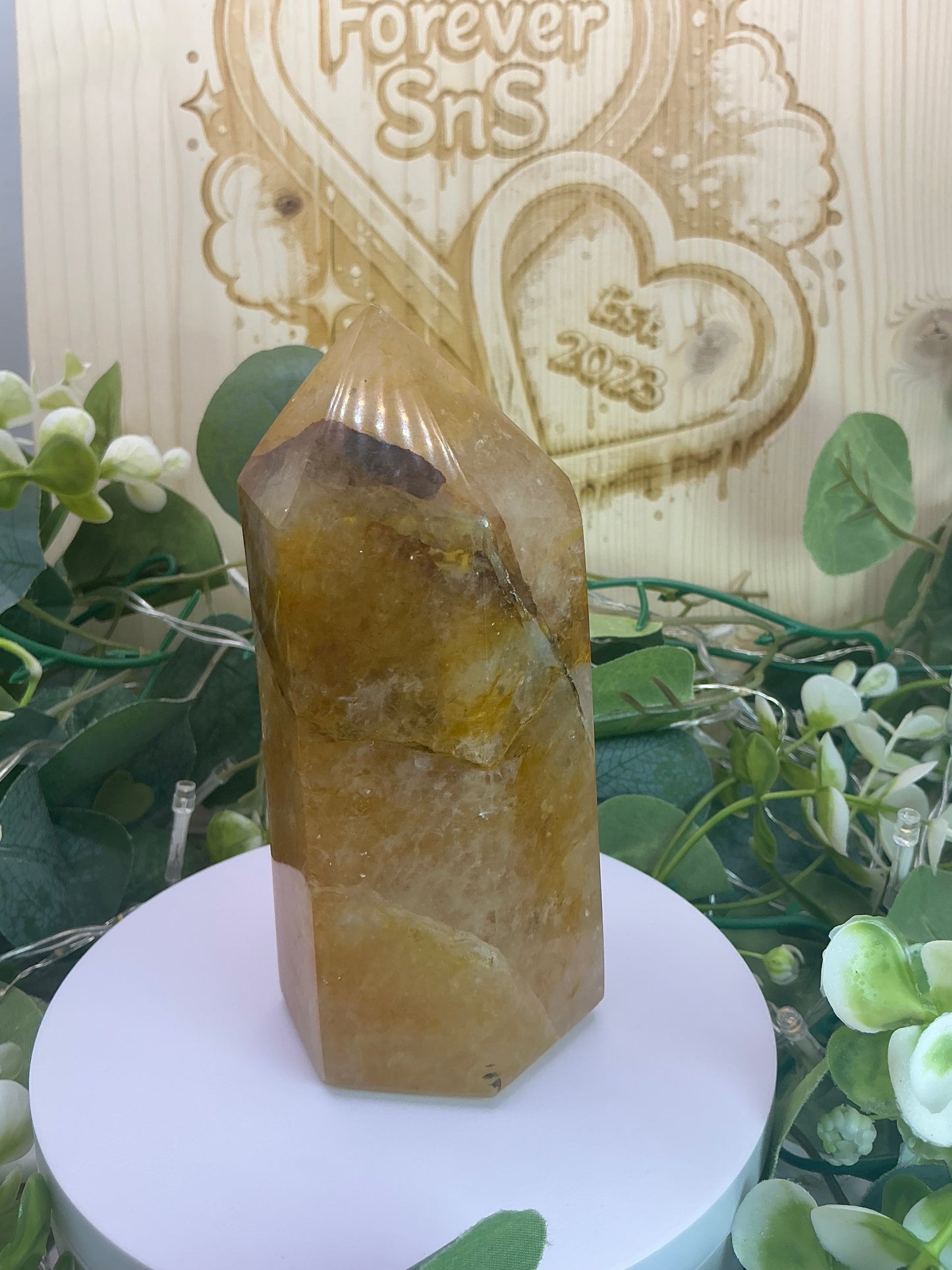 Golden Healer Tower 732g