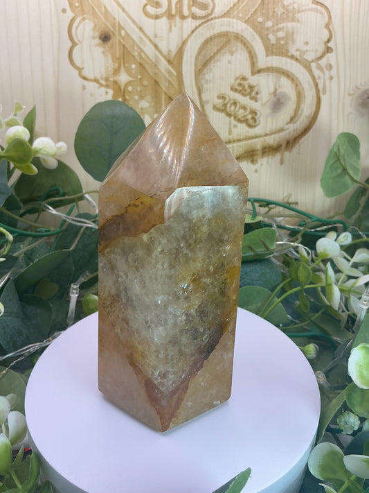 Golden Healer Tower 732g