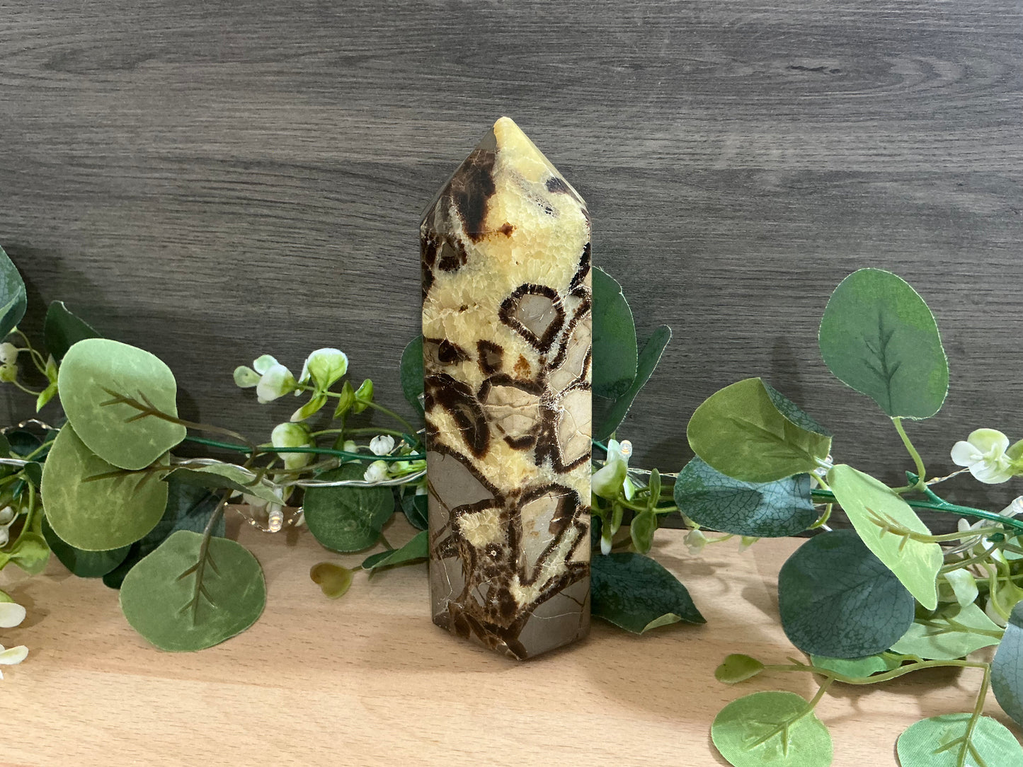 Septerian Tower  1177g