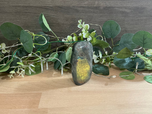 Labradorite Free Form 303g