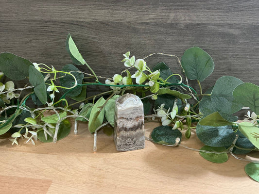 Mexican Agate Tower 174g