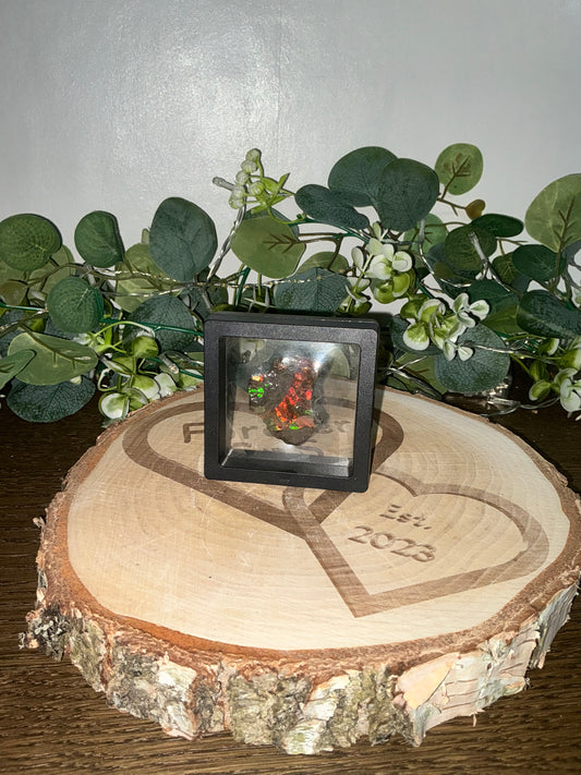 Ammolite in case 38g