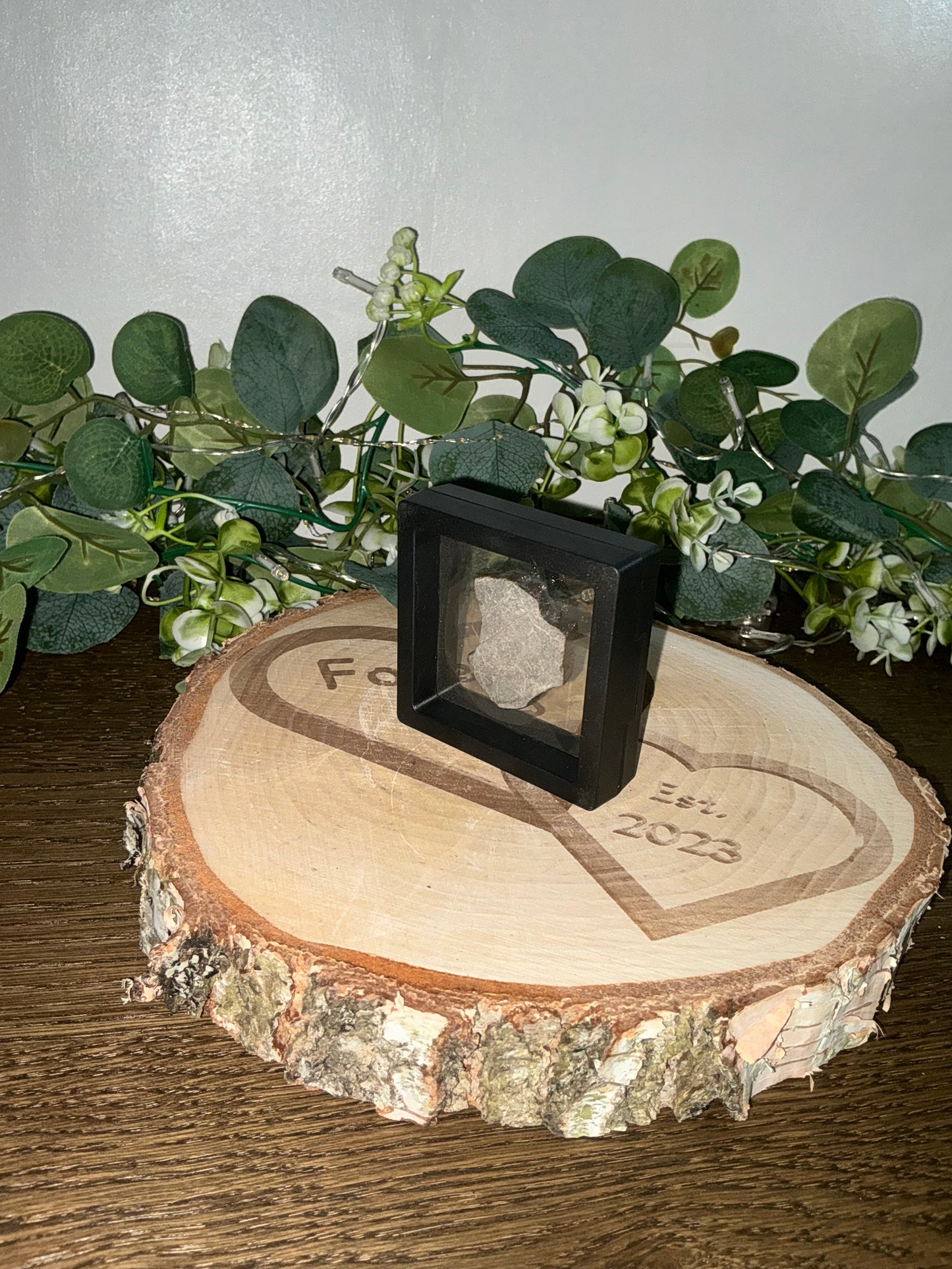 Ammolite in case 38g