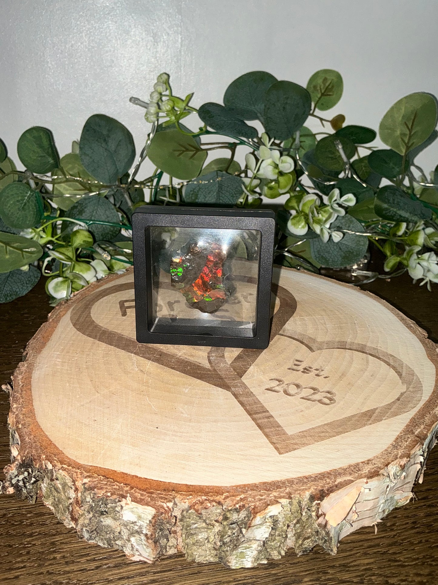 Ammolite in case 38g