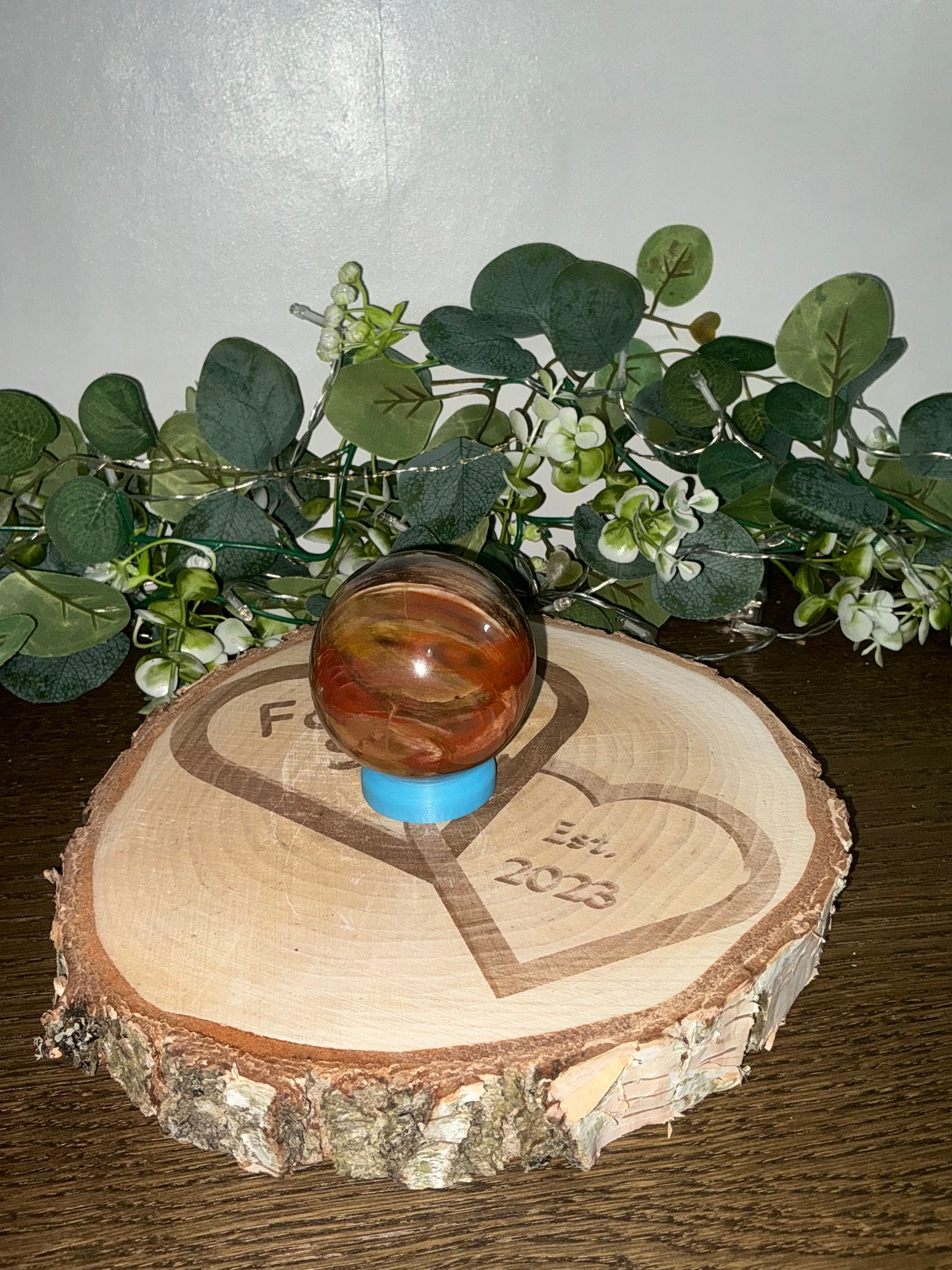 Fossilised Wood 374g