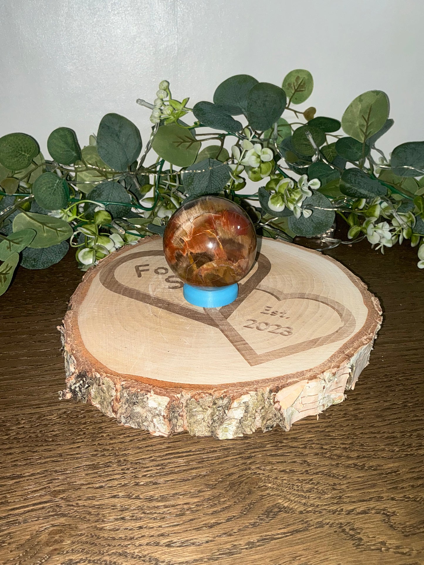 Fossilised Wood 374g