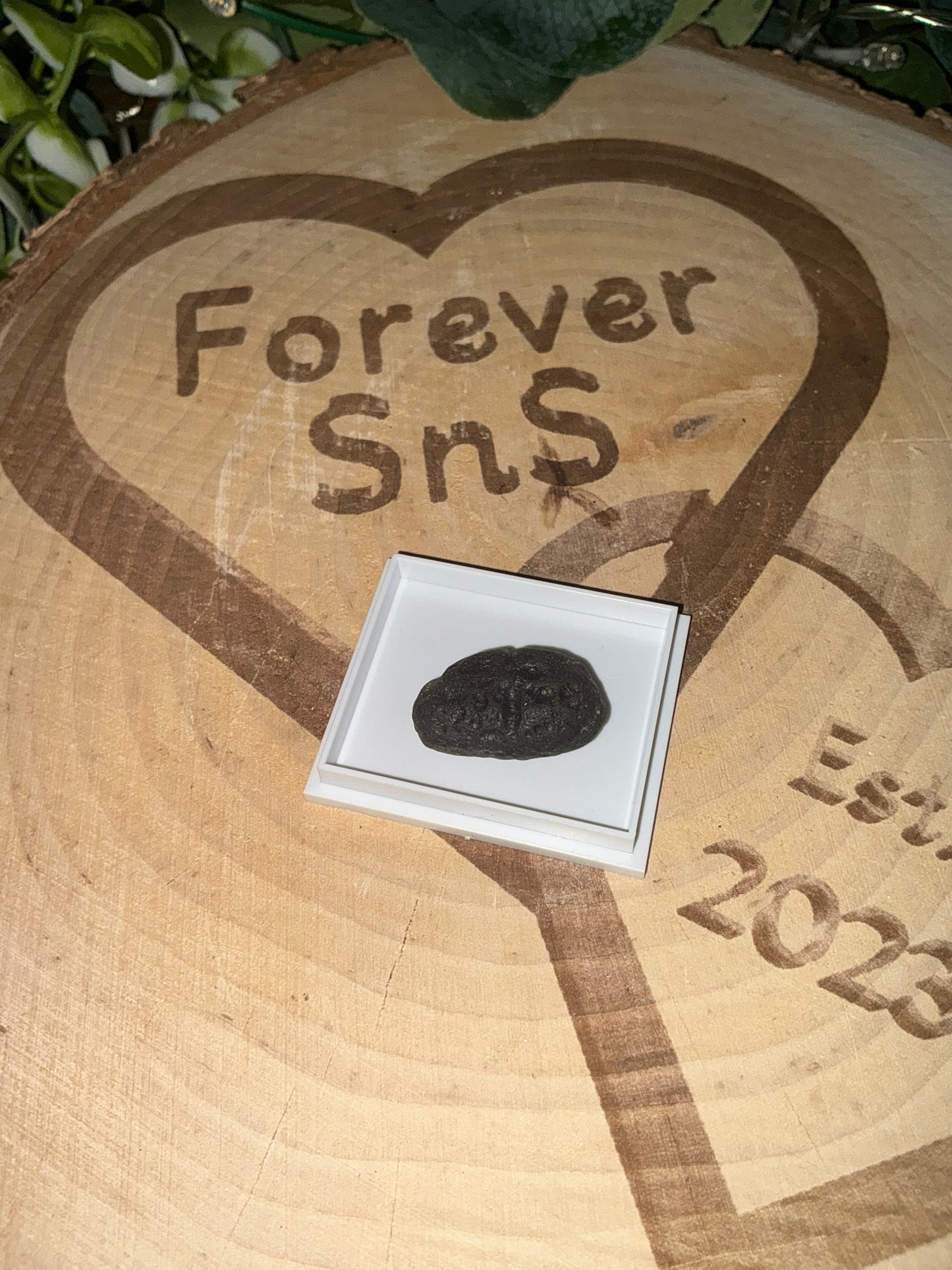 Columbianite in case 11g